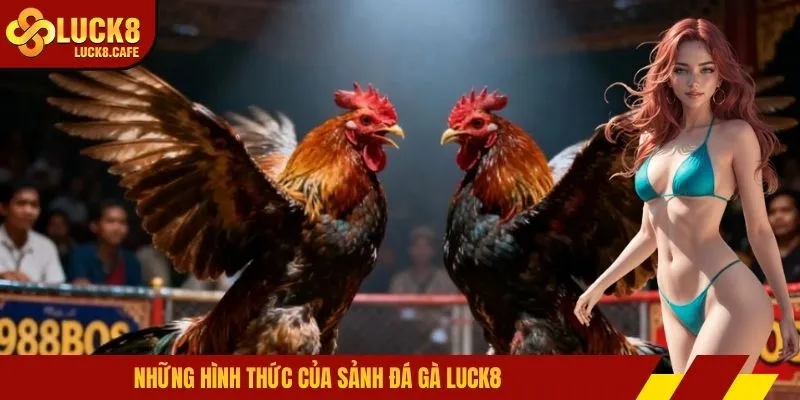 Những hình thức của sảnh đá gà LUCK8
